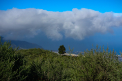 DSC01704