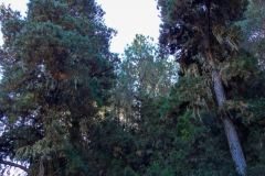 DSC01713