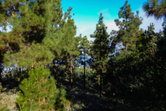 DSC01718