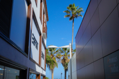 DSC01768