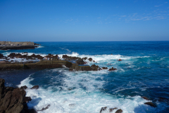 DSC01771