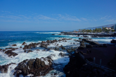 DSC01788