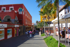 DSC01793