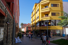 DSC01796