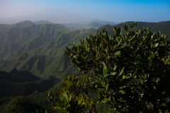 DSC01855