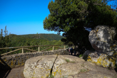 DSC01856